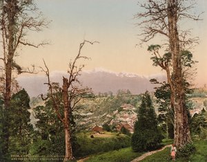 Darjeeling. Kinchinjunga og snøen fra Beechwood Park