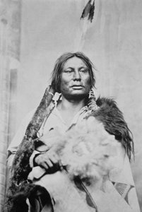 Chief Gall (ca. 1840-94) (s/hvitt-bilde)