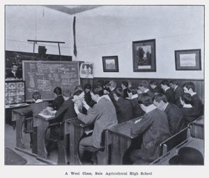 A Wool Class, Sales Agricultural High School (s/hv-bilde)