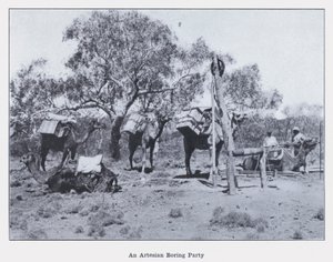 En artesisk kjedelig fest (s/hv-bilde) av Photographer Australian