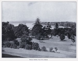 Botanic Gardens, Farm Cove, Sydney (s/hvitt bilde) av Photographer Australian