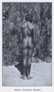 Nysgjerrig aboriginalmerking (s/hvitt-bilde) av Photographer Australian