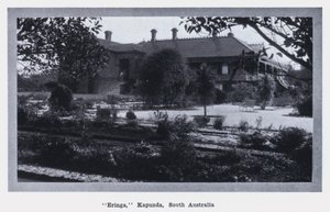 "Eringa," Kapunda, Sør-Australia (s/hvitt bilde) av Photographer Australian