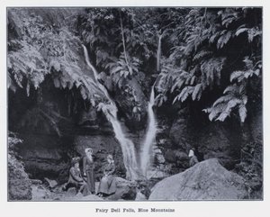 Fairy Dell Falls, Blue Mountains (s/hvitt bilde) av Photographer Australian