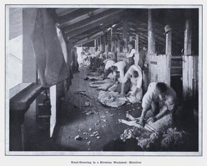 Håndklipping i et Riverina Woolshed, Merribee (s/hvitt-bilde) av Photographer Australian