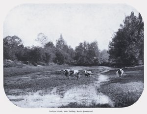 Lockyer Creek, nær Laidley, Sør-Queensland (s/hvitt-bilde) av Photographer Australian