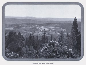 Piccadilly, fra Mount Lofty Ranges (s/hvitt bilde)