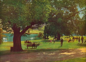 Den botaniske hagen, Melbourne (fargebilde)