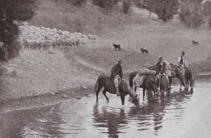 The Rest, typisk australske stockmen (s/hvitt-bilde)