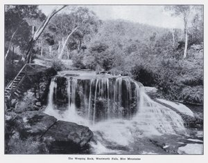 The Weeping Rock, Wentworth Falls, Blue Mountains (s/hv-bilde) av Photographer Australian