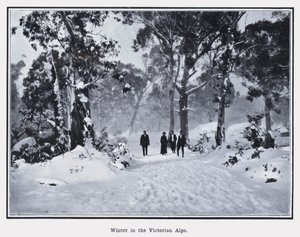 Vinter i de viktorianske alpene (s/hvitt bilde) av Photographer Australian