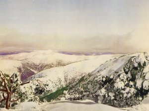Vinter i de viktorianske alpene (fargebilde) av Photographer Australian