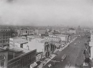 Fugleperspektiv av Winnipeg (s/hvitt bilde) av Photographer Canadian