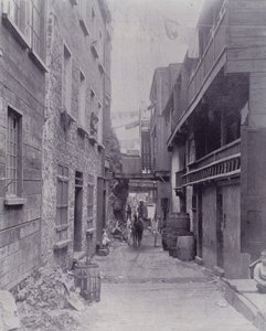 Canada: Little Champlain Street, Quebec (s/hvitt-bilde) av Photographer Canadian