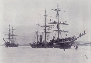 Canada: Sealing Steamers in the Ice (s/hv-bilde) av Photographer Canadian