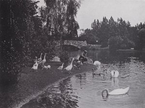 Lake, Beacon Hill Park, Victoria, British Columbia (s/hvitt bilde) av Photographer Canadian