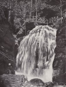 Amselfall (s/hvitt bilde) av Photographer German