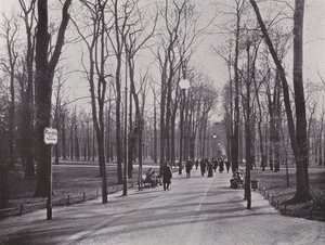 I Tiergarten, Ahornsteig (s/hvitt bilde) av Photographer German