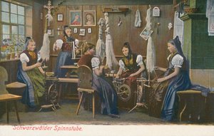 Spinnere i Schwarzwald, Tyskland. (fargebilde) av Photographer German