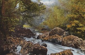 Irland: In The Dargle, County Wicklow (farget bilde) av Photographer Irish