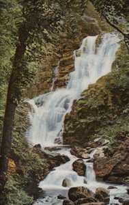 Sør-Irland: Torc Cascade, Killarney (farget bilde) av Photographer Irish