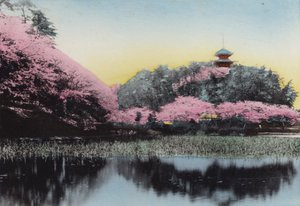 Japan, c.1912: Sankeiyen, Mr Hara