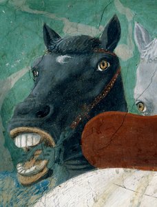 Legenden om det sanne kors, mottakelsen av dronningen av Saba av kong Salomo, detalj av en hest, ferdigstilt freske fra 1464