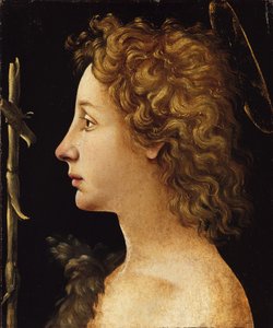 Den unge døperen Johannes (tempera og olje på tre) av Piero di Cosimo