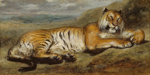 Tiger hviler, ca. 1830.
