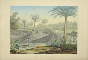Air Volcanoes of Turbaco, gravert av Bouquet, illustrasjon fra 'Views of the Cordilleras and Monuments of the Native Peoples of America' av Alexander von Humboldt og Aime Bonpland av Pierre Antoine (after) Marchais