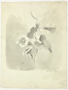  av Pierre Antoine Mongin