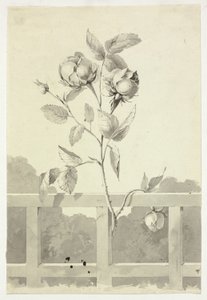  av Pierre Antoine Mongin