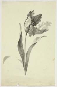  av Pierre Antoine Mongin