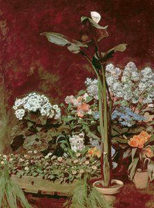 Lilje- og drivhusplanter av Pierre Auguste Renoir
