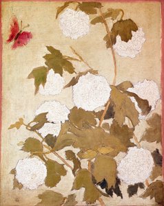Snøballer Blomster Snøballer (Viburnum Ob) og rød sommerfugl. Maleri av Pierre Bonnard (1867-1947) Samling P. M. Samuel av Pierre Bonnard