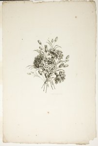 Bukett med nelliker, fra samling av forskjellige blomsterbuketter, oppfunnet og tegnet av Jean Pillement og gravert av P. C. Canot av Pierre Charles Canot
