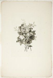 Bukett med roser, fra samling av forskjellige blomsterbuketter, oppfunnet og tegnet av Jean Pillement og gravert av P. C. Canot