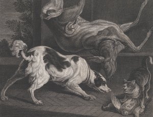 Hunder og stilleben, 1778