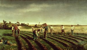 Reaping Sainfoin i Chambaudouin, 1882