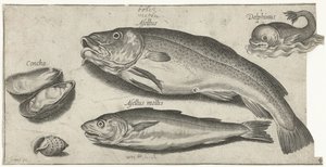 Torsk, hvitting, en delfin og skjell Fiske (serietittel) Piscium vivae-ikoner (serietittel)