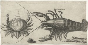 Hummer, krabbe, salamander og et skjell Fiske (serietittel) Piscium vivae-ikoner (serietittel)