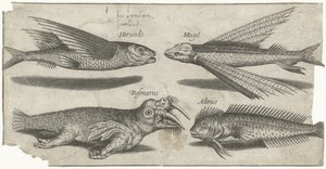 Flyvende grynt, klump, blenny og en hvalross Fiske (serietittel) Piscivm vivae-ikoner (serietittel)