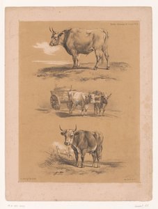 Tre studier av okser og oksevogn Dyrestudier av Cooper (serietittel) Études d'Animaux de Cooper (serietittel på objekt)