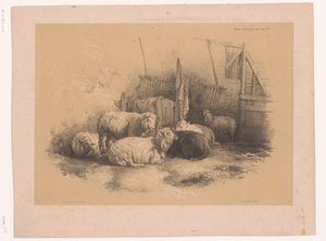 Studie av en saueflokk nær et gjerde Dyrestudier av Cooper (serietittel) Études d'Animaux de Cooper (serietittel på objekt)