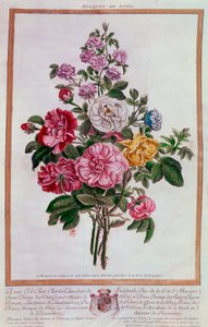 Bukett roser Litografi av Pierre Joseph Buchoz (1731-1807) Paris fra 1700-tallet, B.N. av Pierre Joseph Buchoz
