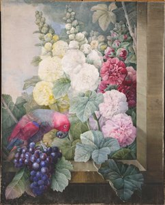 Stokroser, druer og en papegøye, 1836. av Pierre Joseph Redouté