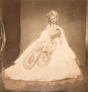 Bisi. Boudoir, grå fløyelskjole, rosa moire, rosa blomster, grå blader av hennes mai,..., 1860-tallet. av Pierre Louis Pierson