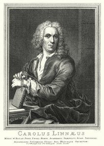 Carl Linnaeus , svensk botaniker og zoolog (gravering)