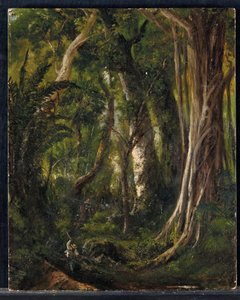 Reisende i en cubansk skog (olje på panel) av Pierre Toussaint Frédéric Mialhe