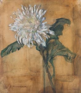 Krysantemum av Piet Mondrian